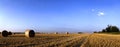 AFTER HARVESTS-Panorama Royalty Free Stock Photo