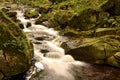 Harz National Park Royalty Free Stock Photo