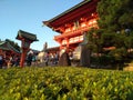 Kyoto Shrine