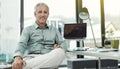 He has full confidence in his business skills. Portrait of a mature businessman working at his desk in an office. Royalty Free Stock Photo