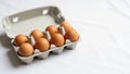 Has individual compartments for each egg and features built in Royalty Free Stock Photo