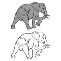 Elephant cartoon isolated on white. African bush or forest elephant and Asian elephant Royalty Free Stock Photo