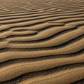 Has shaped the sand into smooth rhythmic lines common in desert Royalty Free Stock Photo