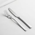 Has a smooth blade and contoured handle while the fork features four Royalty Free Stock Photo