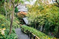 Hasedera temple nature garden in Kamakura, Japan