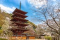 Hasedera wooden pagoda at spring