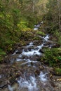 At Haselbach creek in Zillertal valley, Austria Royalty Free Stock Photo