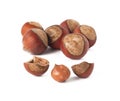 Haselnuts Royalty Free Stock Photo