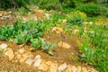 Hashavsheven community garden Royalty Free Stock Photo