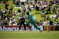 Hashim Amla Royalty Free Stock Photo