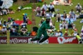 Hashim Amla Royalty Free Stock Photo