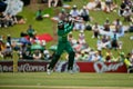 Hashim Amla Royalty Free Stock Photo