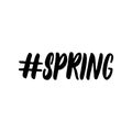 Hashtag Spring - hand drawn lettering calligraphy phrase isolated on the white background. Fun brush ink vector Royalty Free Stock Photo