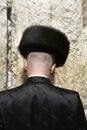 Hasidic jews by wailing wall