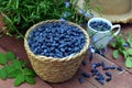 Haskap or honeysuckle berry in the wicker basket on the wooden planks. Royalty Free Stock Photo