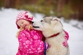 Hasky dog licking little girl