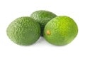 Hass avocados Royalty Free Stock Photo