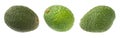 Hass avocados isolated Royalty Free Stock Photo