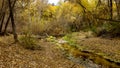 Hassayampa River Preserve Arizona