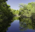 Hassayampa River Preserve, Wickenburg, Arizona