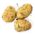 Hasselback Potatoes Top View Isolated on White Royalty Free Stock Photo