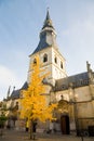 Hasselt Cathedral, Belgium