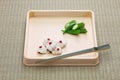 Hassun, assorted tidbits for Japanese tea ceremony cuisine. Royalty Free Stock Photo