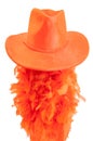 Hat and boa on white background as tipical accessories on the Koningsdag in Amsterdam.