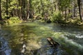 Hat Creek in Lassen National Park, California