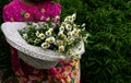 Hat and daisies, The girl presents a bouquet