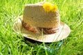 Hat on the grass Royalty Free Stock Photo