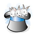 Hat of the magician with three rabbits Royalty Free Stock Photo