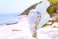 Hat And sunglasses lying on tropical sand beach Sunglasses on the beach. Beautiful sea view wallpaper, background Enjoyed a relaxi Royalty Free Stock Photo