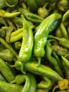 Hatch Back Green Chile