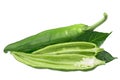 Hatch green chile C. annuum, paths Royalty Free Stock Photo