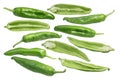 Hatch green chile C. annuum, paths Royalty Free Stock Photo