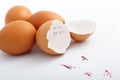 Hatched egg Royalty Free Stock Photo