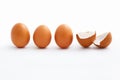 Hatched egg and unhatched ones Royalty Free Stock Photo