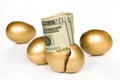 Hatched golden egg with cash Royalty Free Stock Photo