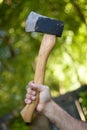 Hatchet Royalty Free Stock Photo