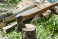 Hatchet or axe for chopping wood logs is ready for cutting timber.