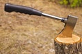 Hatchet in chopping block at camp