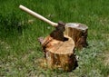 A hatchet is stuck into the end grain of a stump