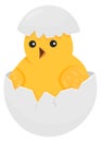 Hatching chick in broken egg. Chicken birth icon