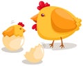 Hatching chicken Royalty Free Stock Photo