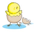 Hatching Easter Chick Royalty Free Stock Photo