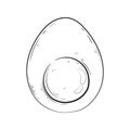 Hatching eggs or fried eggs icon. Vector illustration for keto diet, products contain eggs