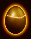 Hatching golden egg