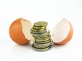 Hatching Money Royalty Free Stock Photo