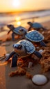 Hatching on the seaside Baby turtles break free, starting their coastal journey.